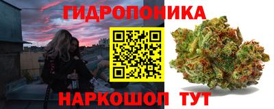 мдпв Новокубанск