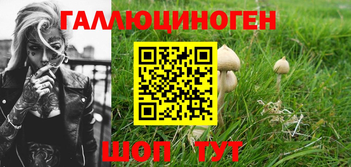 Галлюциногенные грибы GOLDEN TEACHER  Вход с VPN  Усть-Джегута 